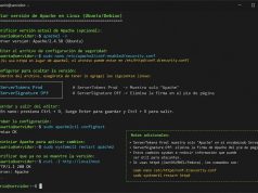 Seguridad WP #0011: Ocultar Versión de Apache