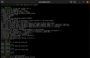 Seguridad WP #0006: Configurar UFW Firewall