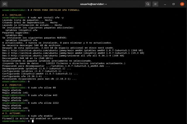 Seguridad WP #0006: Configurar UFW Firewall