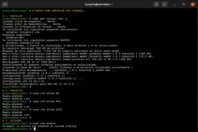 Seguridad WP #0006: Configurar UFW Firewall