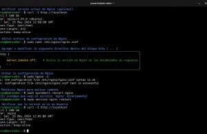 Seguridad WP #0012: Ocultar versión de Nginx