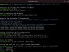 Seguridad WP #0014: Deshabilitar TLS inseguros