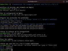 Seguridad WP #0014: Deshabilitar TLS inseguros